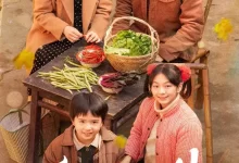家里家外.短剧.下载观看.全79集(合并版)-夸克网盘吧