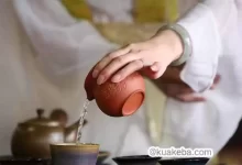 茶艺课程全套【教学视频】-夸克网盘吧